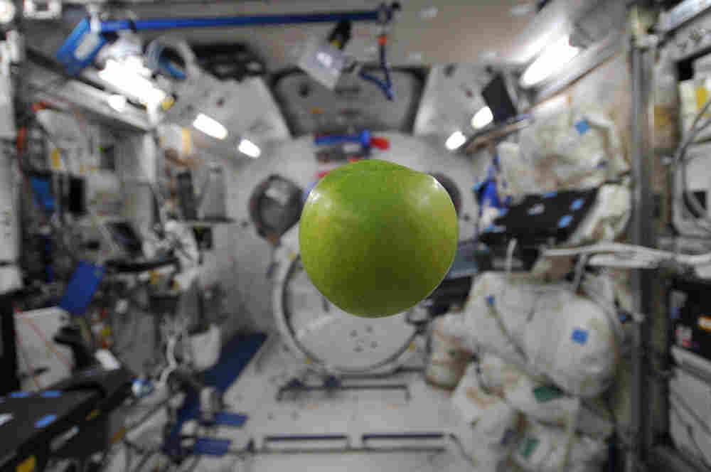 NASA image from space