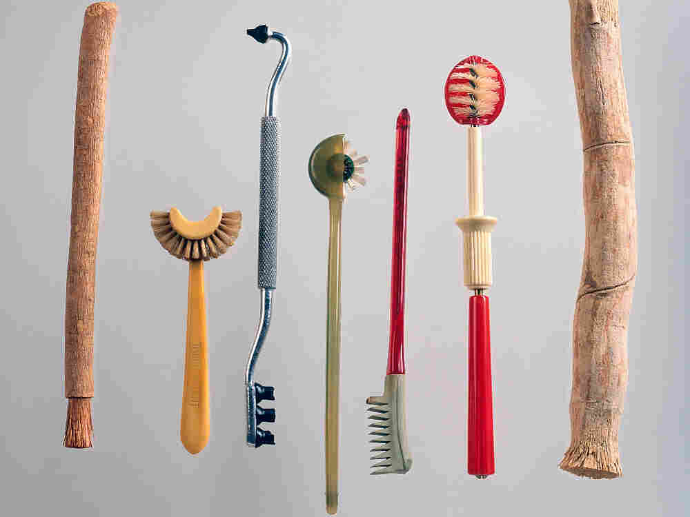 Historic toothbrushes: siwak stick; Taub’s patent toothbrush; gum stimulator; Strockway rotary; Dr. Mayland's.