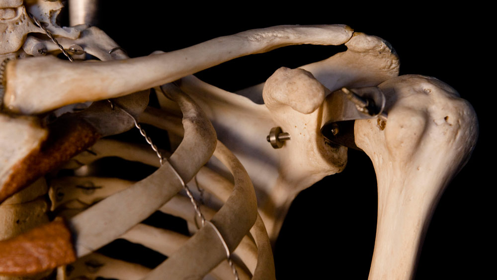 Armed And Deadly Shoulder Weapons Key To Hunt Npr