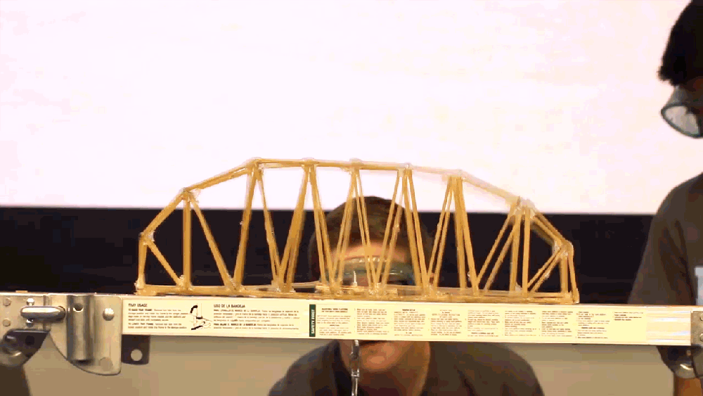 Teaching Students To Use Their Noodles NCPR News