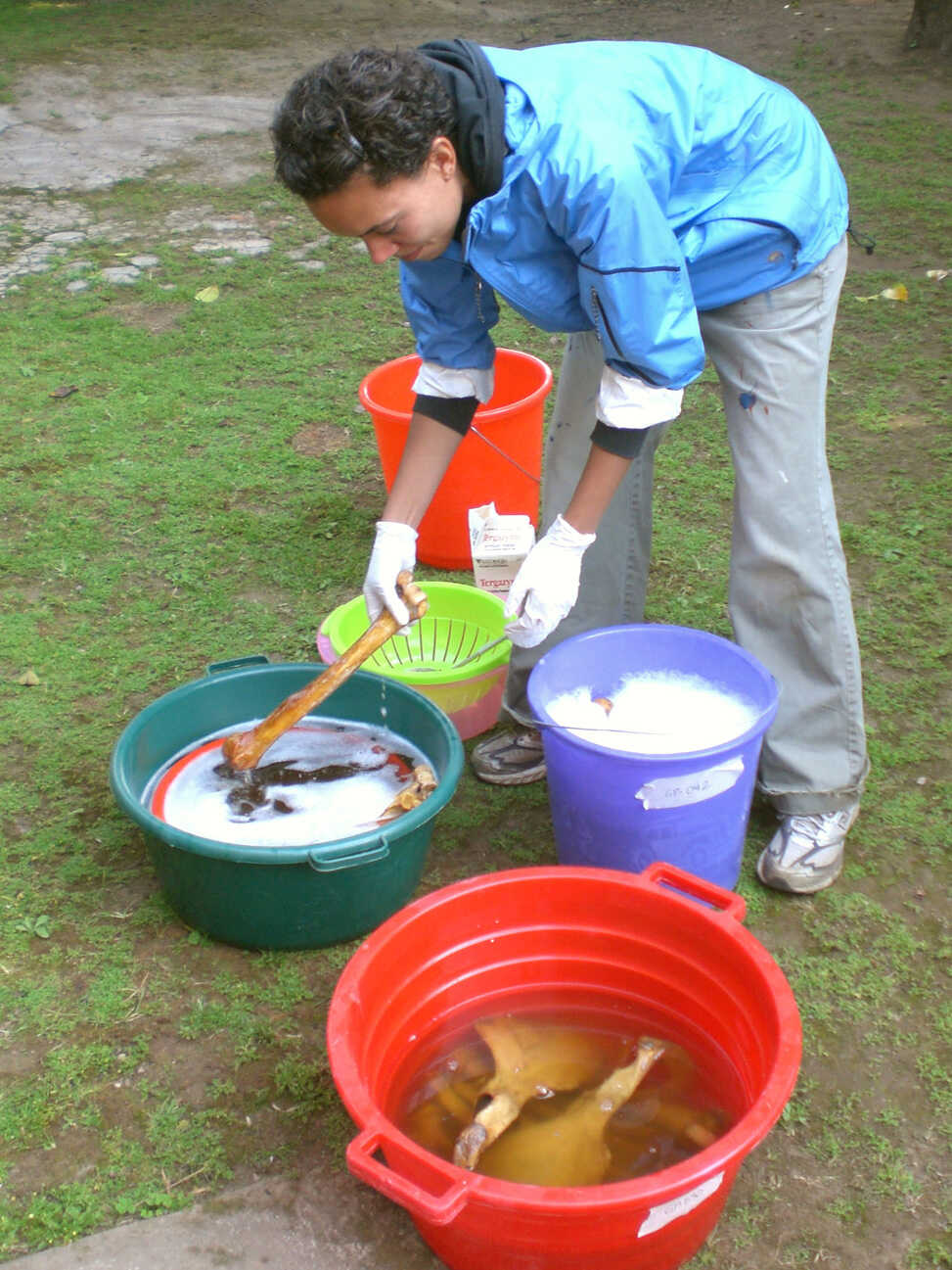 Cleaning Bones Messy, But Somebody's Gotta Do It NPR