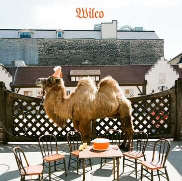 wilco%20capture.jpg