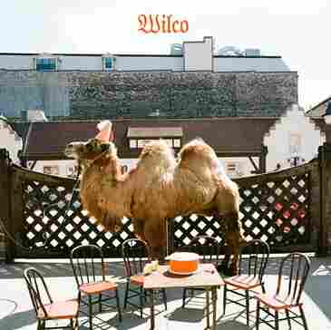 wilco%20capture.jpg