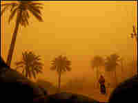 Sandstorm In Iraq