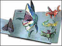 Sharks primary