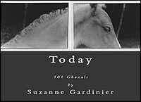 'Today: 101 Ghazals' cover