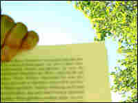 Reading Outside