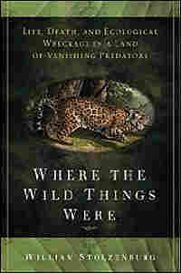 'Where the Wild Things Were'