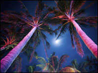 South Beach