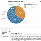 DATABASE: Mall Of America Suspicious Activity Reports