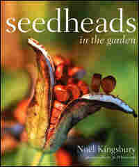 Seedheads in the Garden Cover