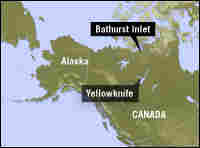 Arctic map