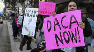Fairfax County Proposes Legal Defense Fund For Immigrants