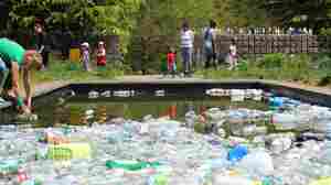 It's Not Just Trash, It's Art: Maryland Park Installation Highlights Pollution Crisis