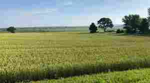 Transforming farmland