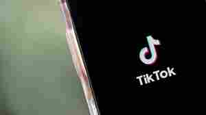 A boost for TikTok and those who make money from it