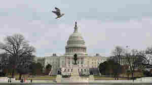 At least the government isn't shutting down