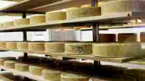 Nov. 19 - Behind The Scenes: Wisconsin Cheese