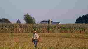 Nov 18, The Amish in Wisconsin (Encore Broadcast)