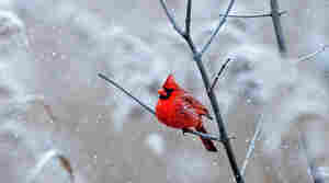 Dec. 2, Backyard Winter Meteorology