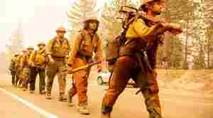 California Firefighters Dealing With Mental Health Crisis On The Job