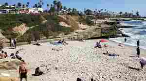 Beachgoers Can Soon Be Sunbathers