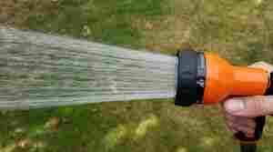Watering The Right Way