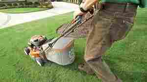 Fall lawn care tips