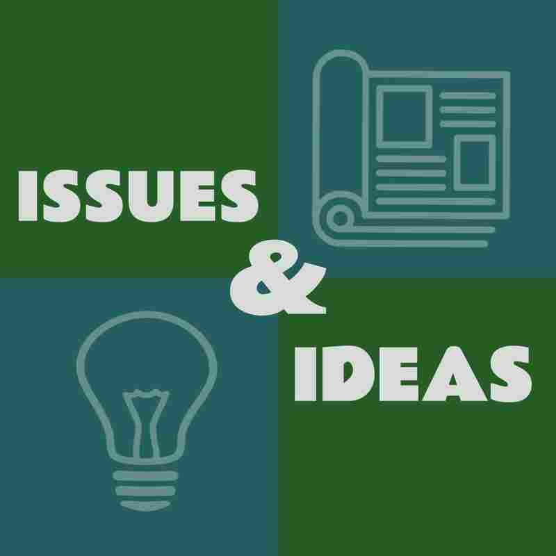 Issues & Ideas