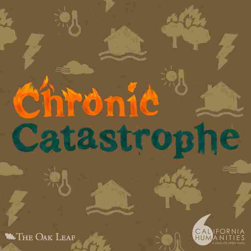 Chronic Catastrophe