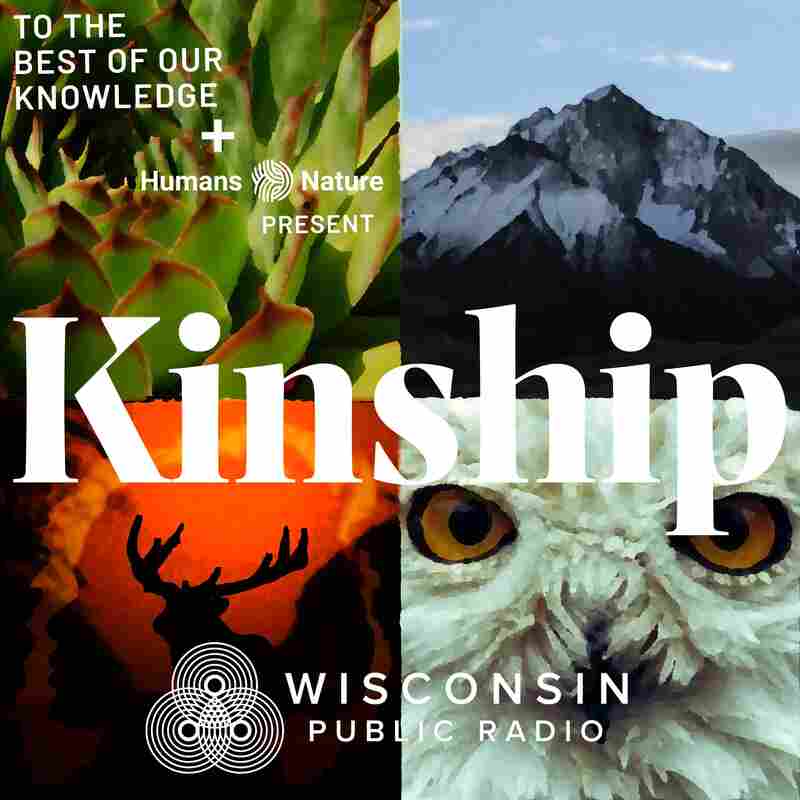 Kinship With The More Than Human World
