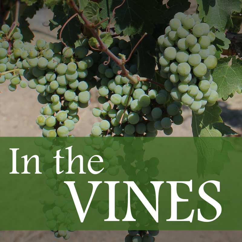 In the Vines