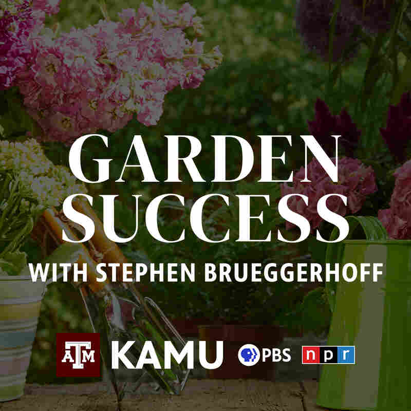 Garden Success with Skip Richter