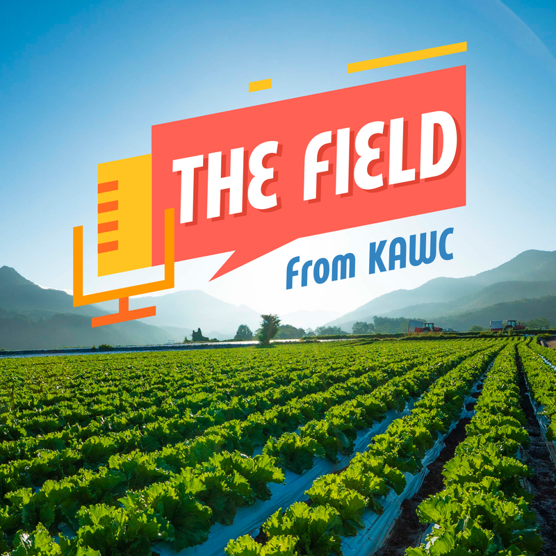 The Field from KAWC