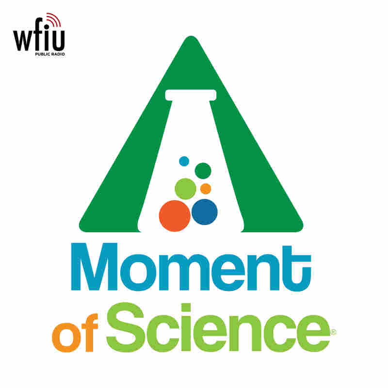 WFIU: A Moment of Science