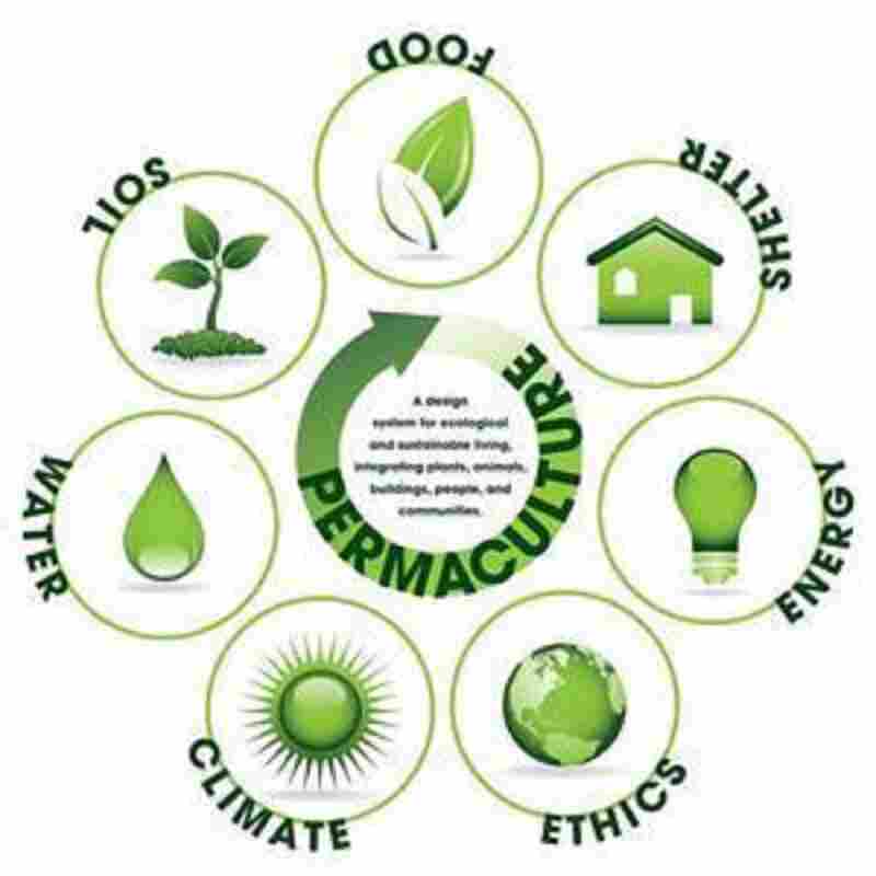 Living Permaculture