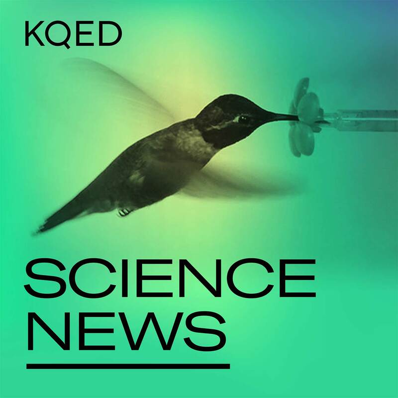 KQED Science News NPR