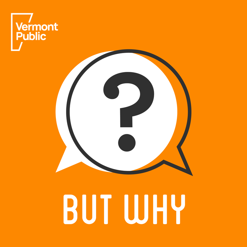But Why: A Podcast For Curious Kids