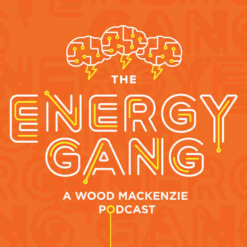 The Energy Gang
