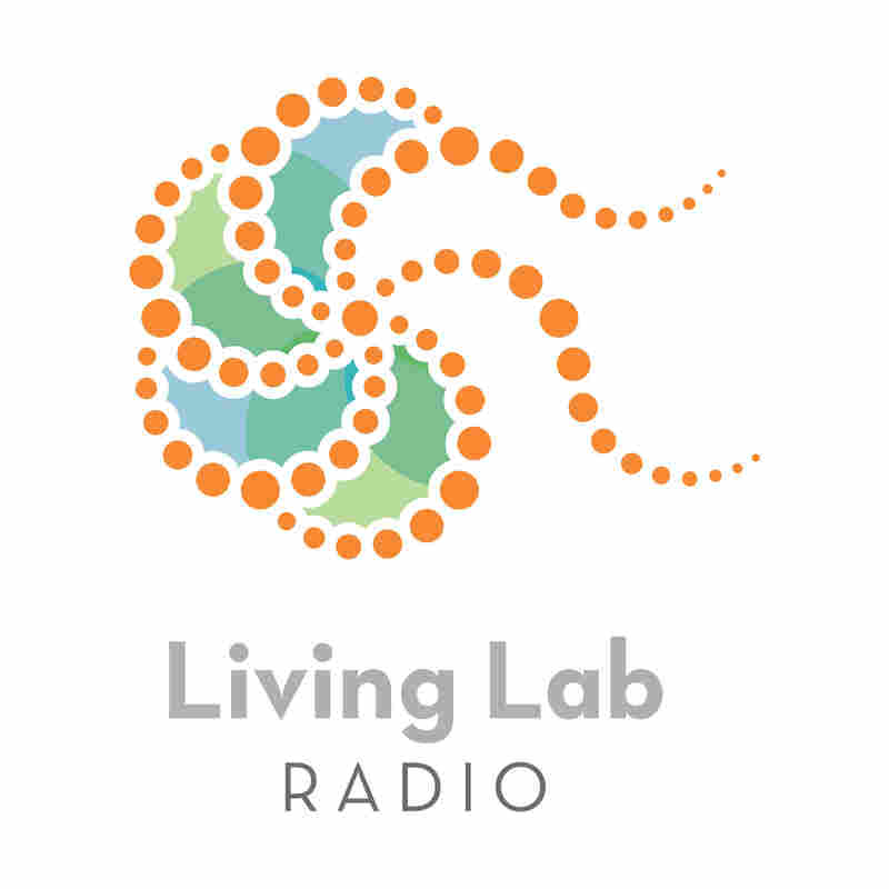 Living Lab Radio