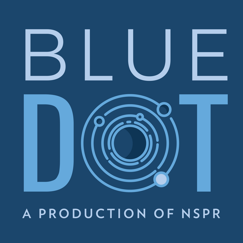 Blue Dot NPR