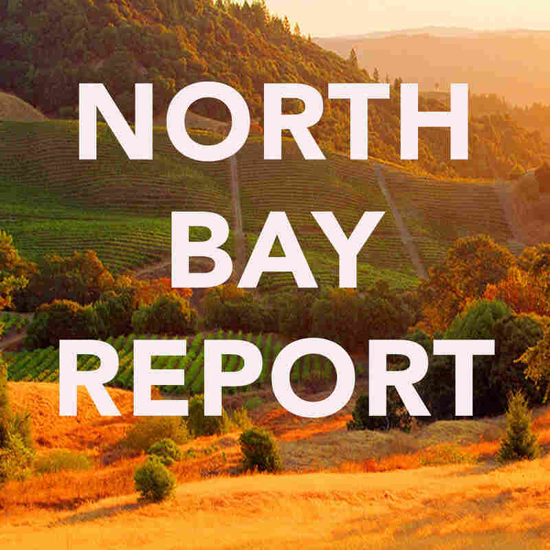 North Bay Report