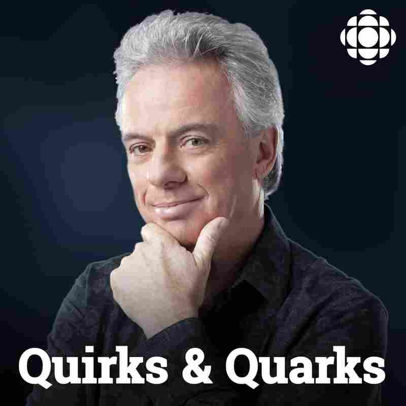 Quirks and Quarks Complete Show from CBC Radio