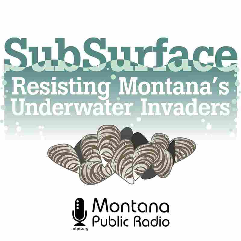 SubSurface: Resisting Montana's Underwater Invaders