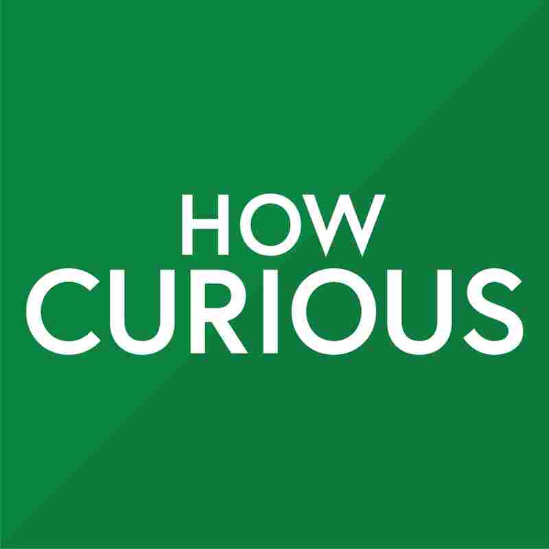 How Curious