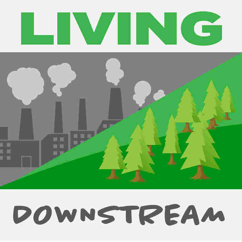 Living Downstream