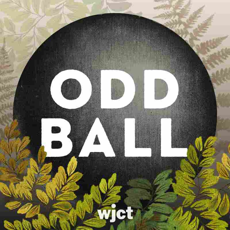 Odd Ball