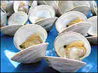 Steamers