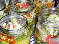 pickles200 ce503c14deee242c293ef1a5ef76ffe32ff05379