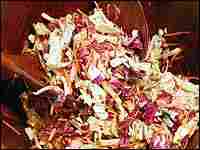 Spicy Radicchio Slaw with Pecans